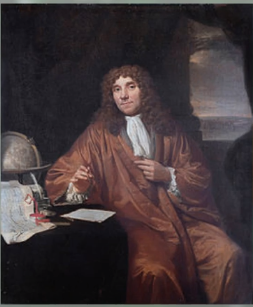 Théorie des Animalcules