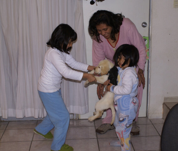 Llegada de Bruno a la familia