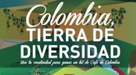 Timeline: Recogiendo saberes entorno a la diversidad