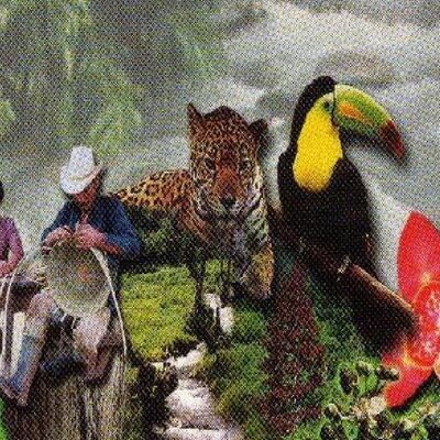 Timeline: Normas Internacionales que Regular la Explotación de Biodiversidad en Latinoamérica en la Bioprospección.