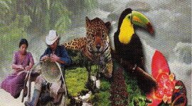 Timeline: Normas Internacionales que Regular la Explotación de Biodiversidad en Latinoamérica en la Bioprospección.