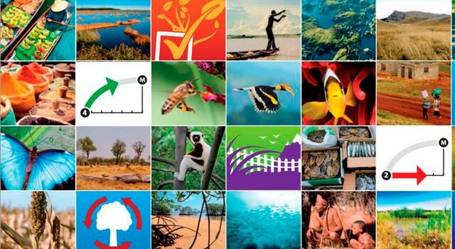 ley 165 de 1994 Política Nacional de Biodiversidad