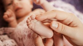 Timeline: Bio como hija