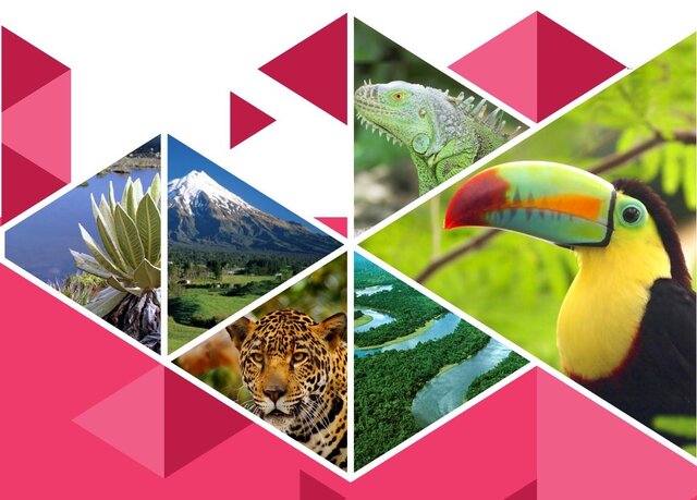 Se aprobó la Política Nacional de Biodiversidad por el Consejo Nacional Ambiental.