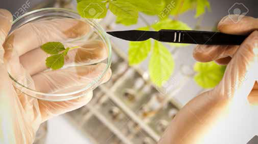 DECISIÓN ANDINA 391