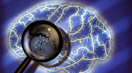 Timeline: Antecedentes históricos de la Evaluación Forense