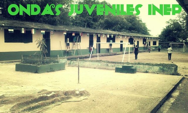 Viendo florecer mis sueños