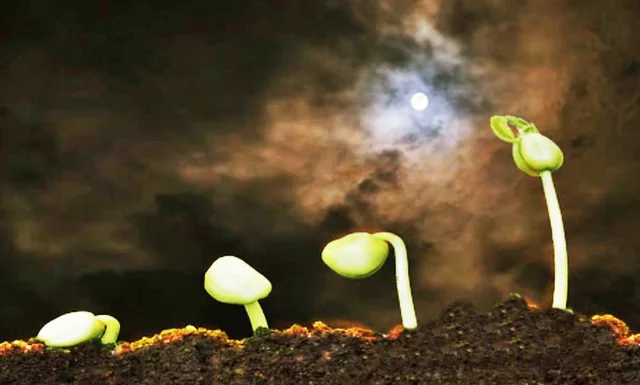 Horóscopos Agrícolas