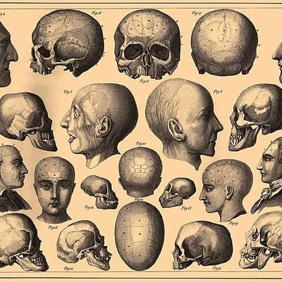Timeline: Períodos históricos de la Neuropsicología de la educación