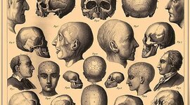 Timeline: Períodos históricos de la Neuropsicología de la educación