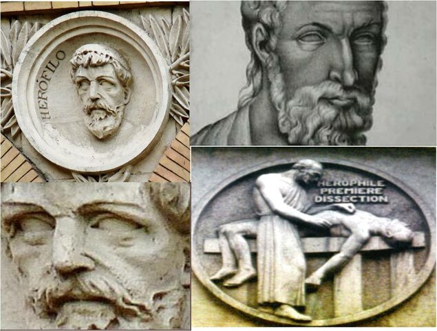 Herófilo de Calcedonia (335-280 a. C.) y Erasístrato de Ceos (300-250 a. C.),