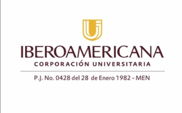 MI CARRERA PROFESIONAL