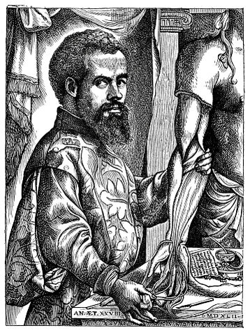 1514 - 1564 ANDREAS VESALIUS
