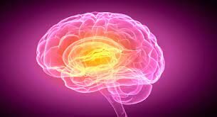 Neuropsicología Clínica - 1983