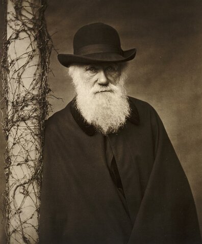 Charles Darwin. "El origen de las especies".