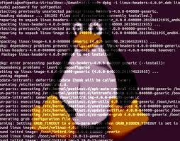 Linux Kernel