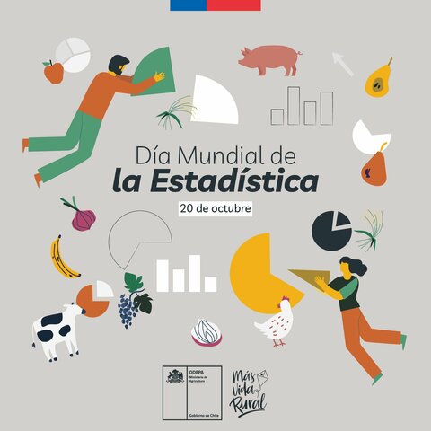 Primer Día Mundial de la Estadística
