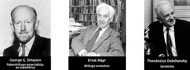 Teoría Sintética de la Evolución