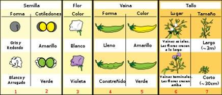 Hombre Católico pero de Ciencia