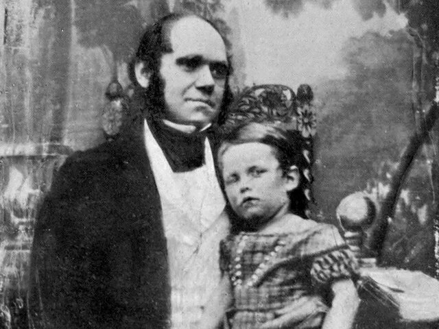 El estudio de los niños