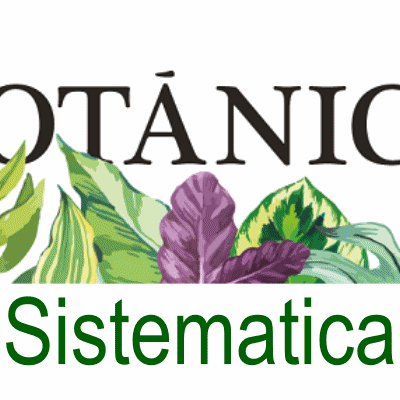 Timeline: Aporte de diferentes personajes en el desarrollo de la Botánica Sistemática.