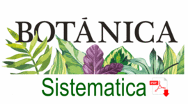 Timeline: Aporte de diferentes personajes en el desarrollo de la Botánica Sistemática.