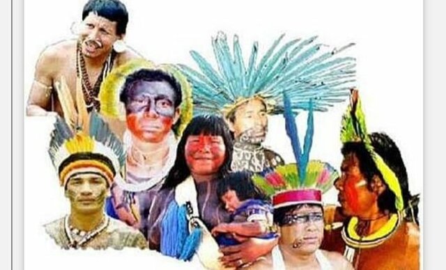 1991 Diversidad en Colombia