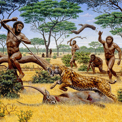 Timeline: Desarrollo histórico de la relación de las sociedades humanas con su ambiente.