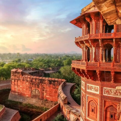 Aportaciones de India