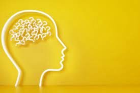 Creación del grado en psicología, en Estados Unidos