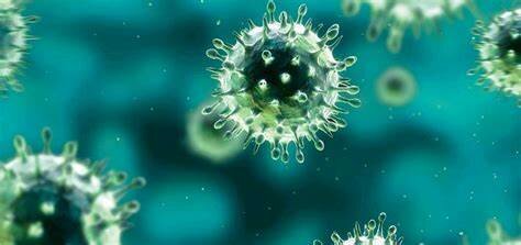 Los Gérmenes como causa de Enfermedades