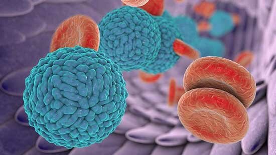 Viejas y nuevas enfermedades