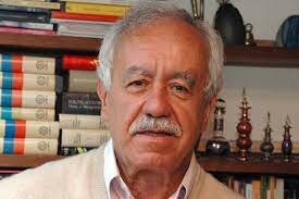 Acción colectiva por Francisco Leal Buitrago