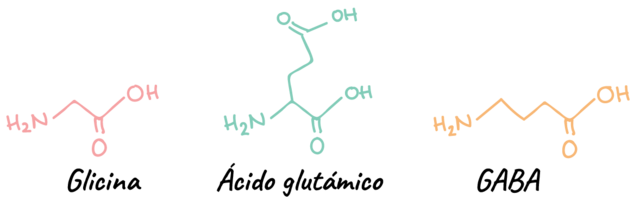 Existencia de los neurotransmisores.