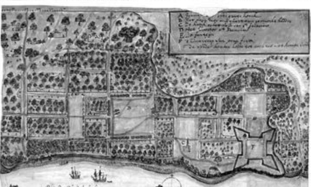 Planta de Valdivia - Levantamiento de expedición Holandesa