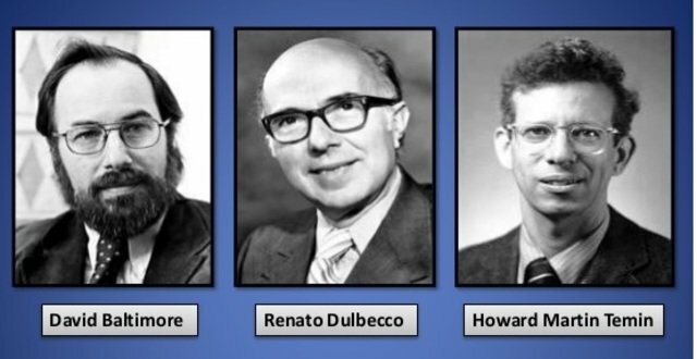 David Baltimore, Renato Dulbecco y Howard Temin
