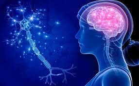 Surgimiento del sistema nervioso