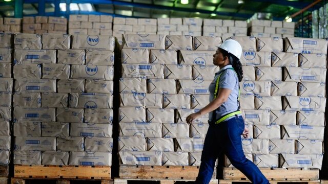 CREACION MASIVA DE EMPRESAS