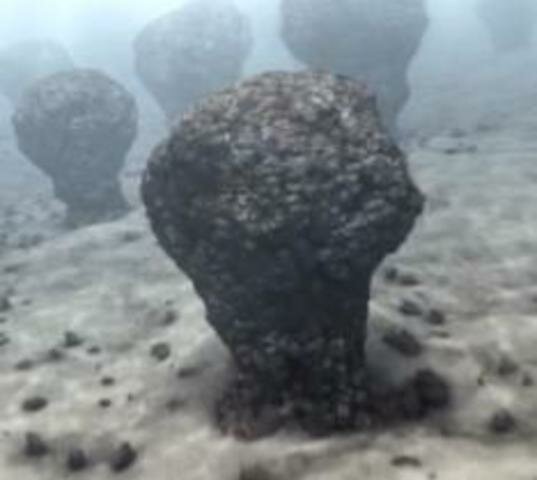 ¿Cuándo surgió el oxígeno? ORIGEN DEL OXIGENO