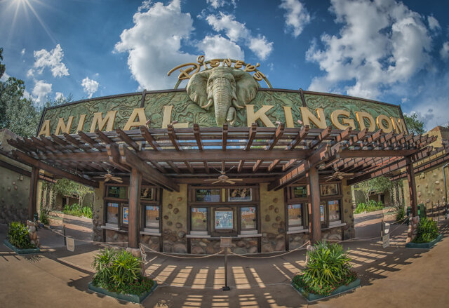 Opening of Disney’s Animal Kingdom at Walt Disney World