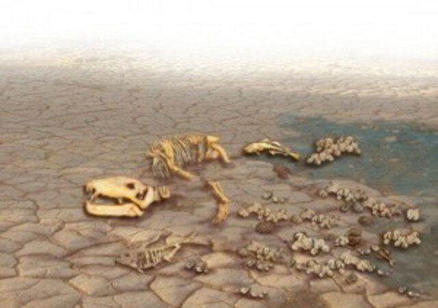 EXTINCIÓN DE LA VIDA