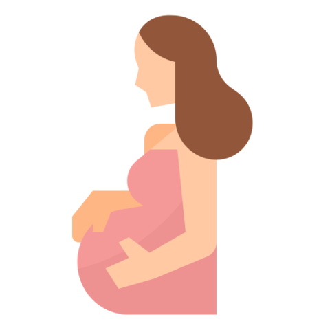 LEY 53 MUJERES EMBARAZADAS