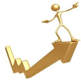 Professional experience