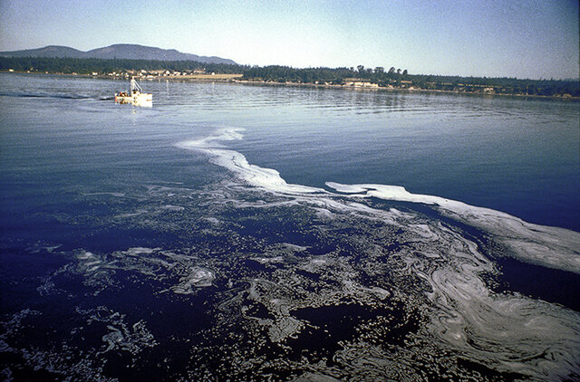 Key Report: Problems of the Human Environment