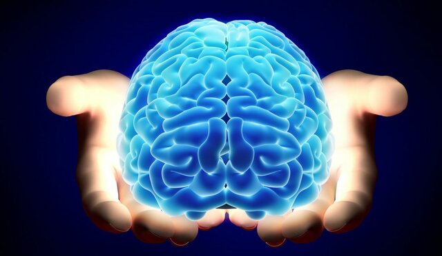 ¿Por que existe el cerebro?