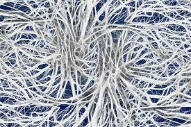 Agrupación neuronal