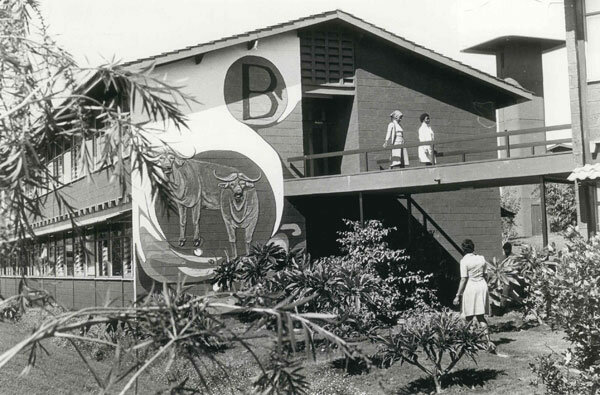 World Environment Day