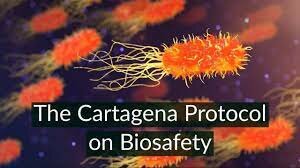 Cartagena Protocol on Biosafety