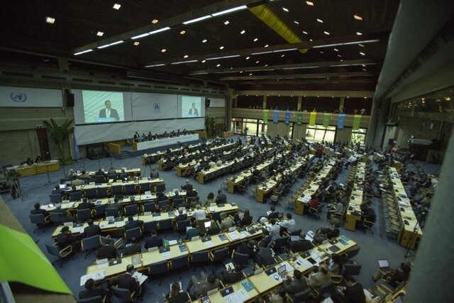 United Nations Environment Assembly