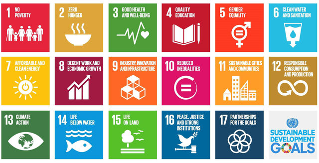 The Sustainable Development Goals
